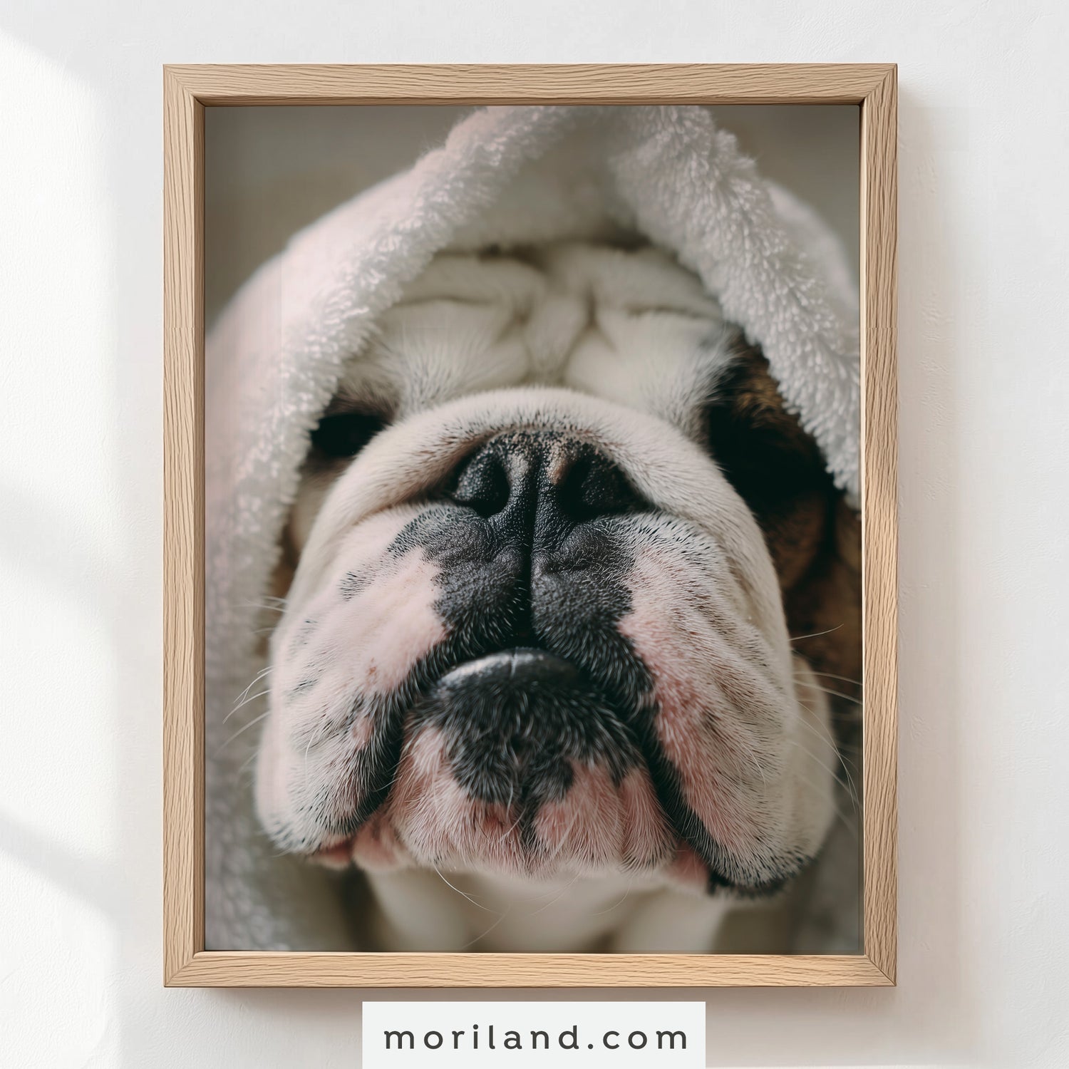 Fun Dog Bathroom Wall Art - Set of 9 Printable Pet Portraits for Bathroom Décor - LAND190