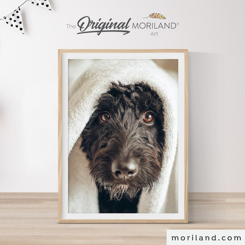 Black Labradoodle bathroom printable wall art with dog wrapped in a white towel – MORILAND