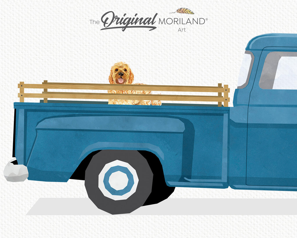  1955 Chevy Apache with goldendoodle dog artwork print poster pet gift idea