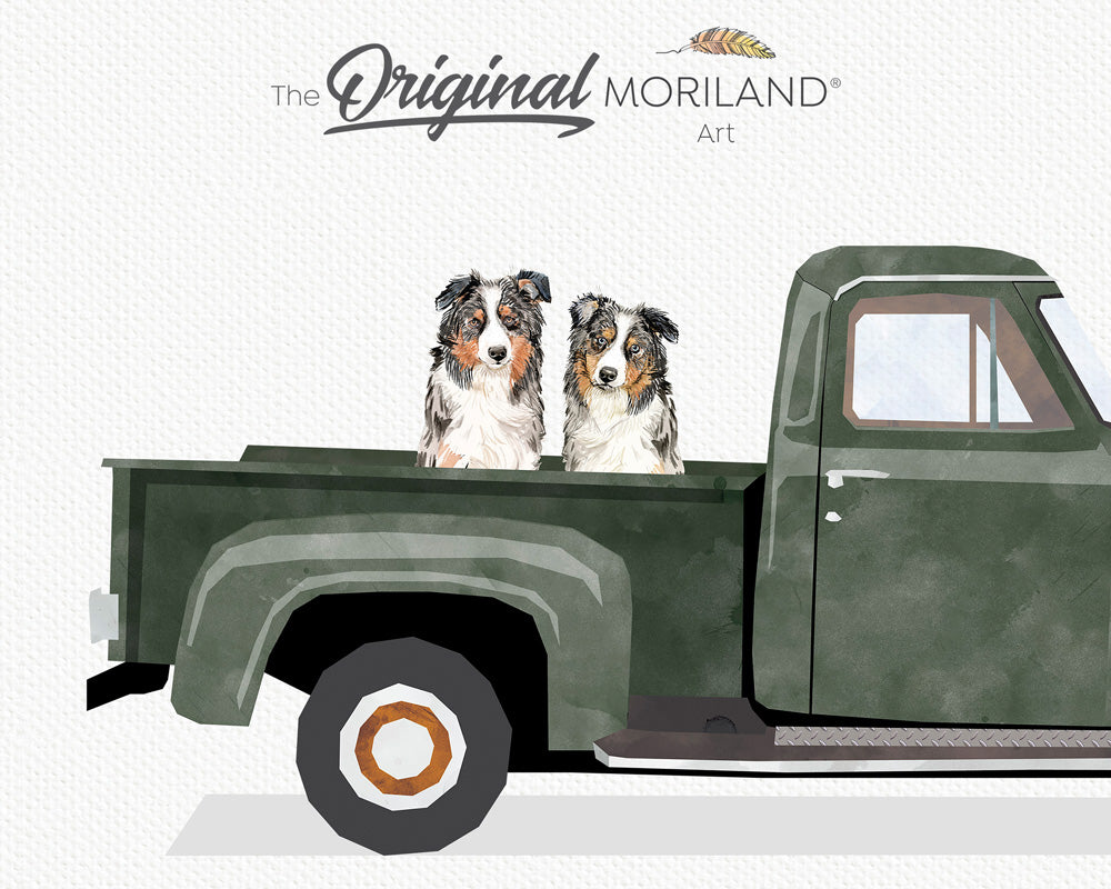 Dark Green Old Truck with Australian Shepherd Dogs Print - Printable Art