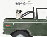 Dark Green Classic Truck with Australian Shepherd Dog Print - Printable Art