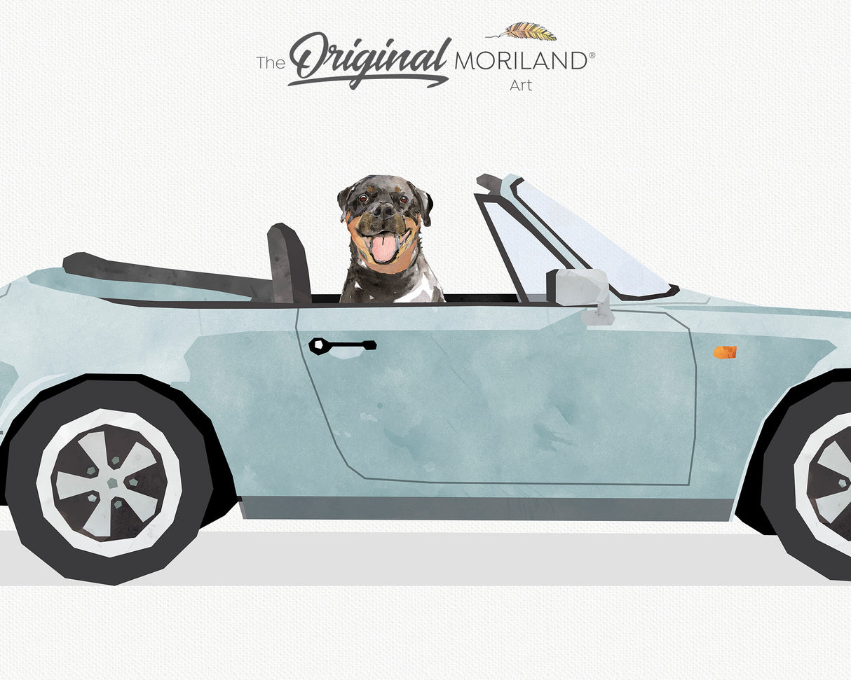 Pale Blue Classic Convertible Car with Rottweiler Dog Print - Printable Art