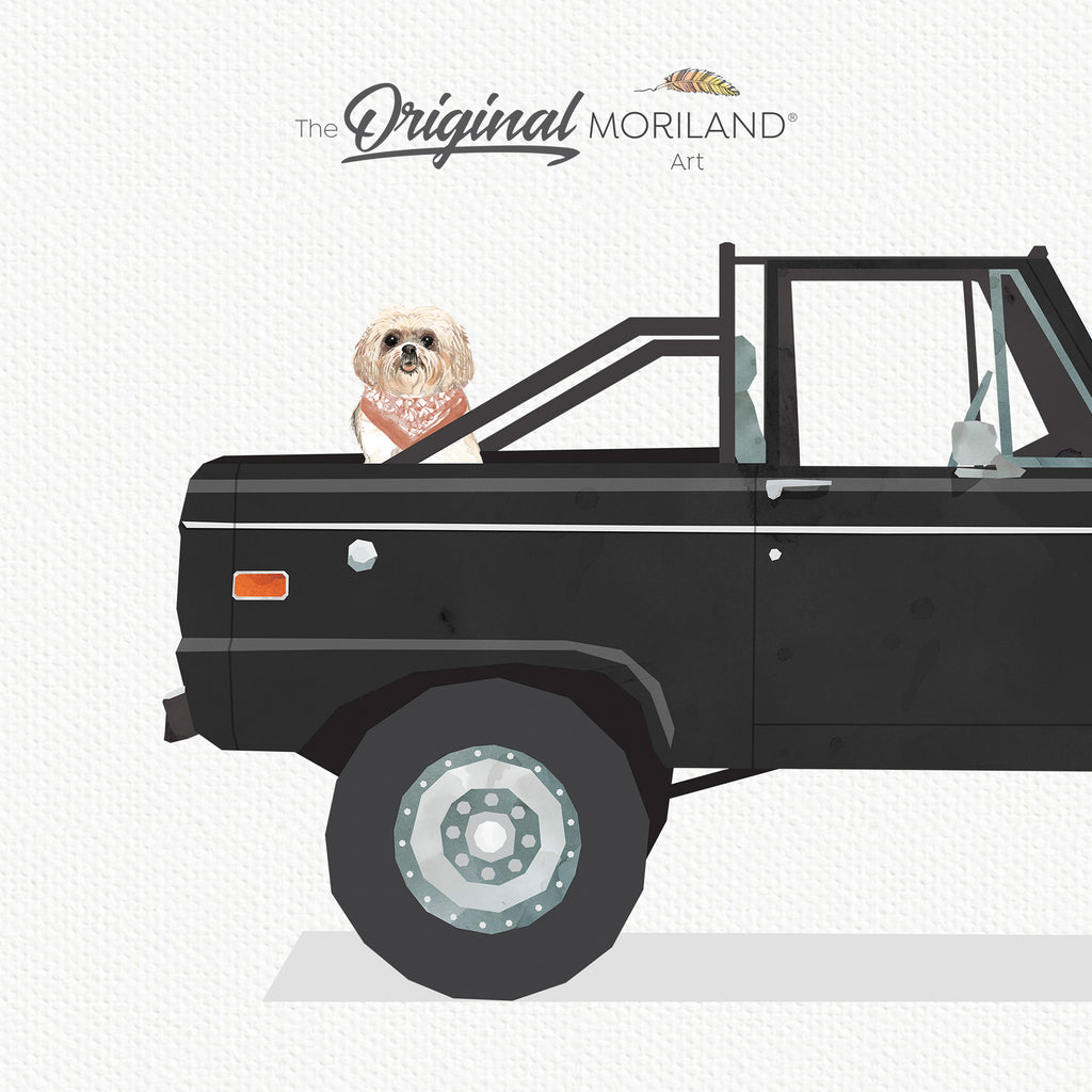 Black Classic Ford Bronco Truck With Shih Tzu Dog Print - Printable Art