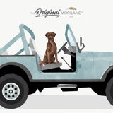 Pale Blue 1979 jeep cj-7 renegade with Brown Labrador Dog Print - Printable Art