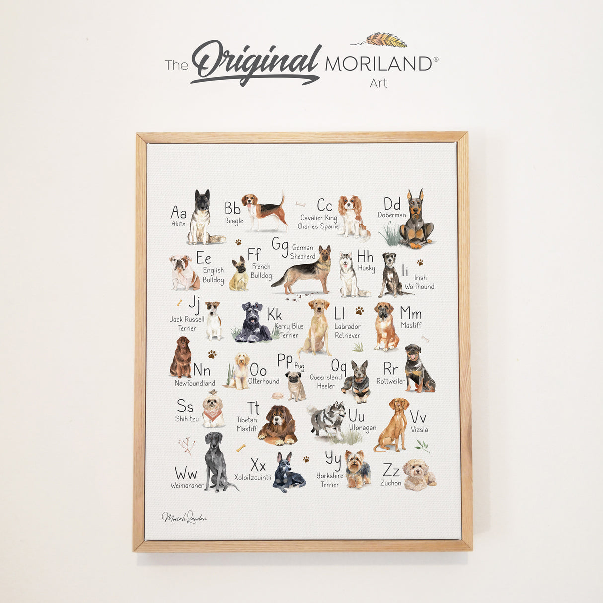 Dog Alphabet - Framed Canvas Print, Dog Alphabet Print, ABC Wall Art, Gifts for Kids, Dogs Alphabet, Dog Nursery Décor, Dog Poster, Dog Lover Nursery, Kids Room, Cavalier King Charles Spaniel, Doberman, English Bulldog, German Shepherd, Vizsla, Irish Wolf Hound, Jack Russell, Kerry Blue Terrier, Mastiff, Otterhound, Pug, Rottweiler, Shih Tzu, Utonagan, Yorkshire Terrier, Xoloitzcuintli, Zuchon | MORILAND®