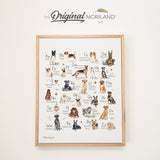 Dog Alphabet - Framed Canvas Print, Dog Alphabet Print, ABC Wall Art, Gifts for Kids, Dogs Alphabet, Dog Nursery Décor, Dog Poster, Dog Lover Nursery, Kids Room, Cavalier King Charles Spaniel, Doberman, English Bulldog, German Shepherd, Vizsla, Irish Wolf Hound, Jack Russell, Kerry Blue Terrier, Mastiff, Otterhound, Pug, Rottweiler, Shih Tzu, Utonagan, Yorkshire Terrier, Xoloitzcuintli, Zuchon | MORILAND®