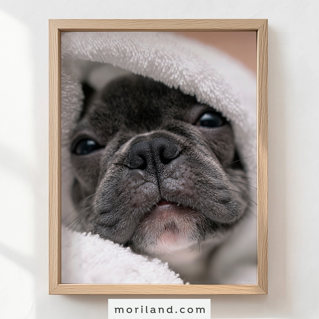 Fun Dog Bathroom Wall Art - Set of 9 Printable Pet Portraits for Bathroom Décor - LAND190