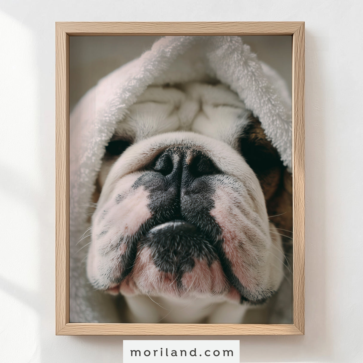 Fun Dog Bathroom Wall Art - Set of 9 Printable Pet Portraits for Bathroom Décor - LAND190