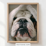 Fun Dog Bathroom Wall Art - Set of 9 Printable Pet Portraits for Bathroom Décor - LAND190