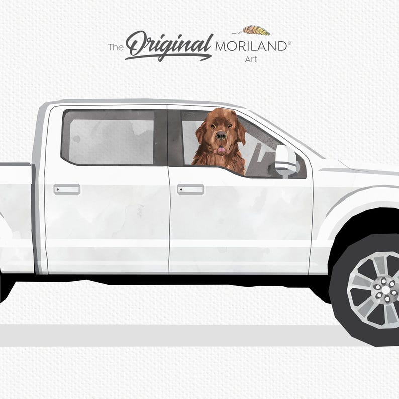 Newfoundland Dog in White Pickup Truck Printable Wall Art – digital printable wall art by MORILAND