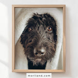 Close-up Black Labradoodle towel bathroom wall art in a light wood frame – MORILAND