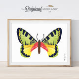 Watercolor butterfly printable wall art for girls bedroom décor by MORILAND