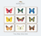 Multicolor Moth Print - Printable Art
