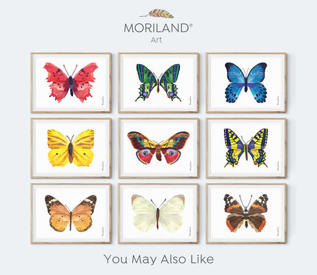 Multicolor Moth Print - Printable Art
